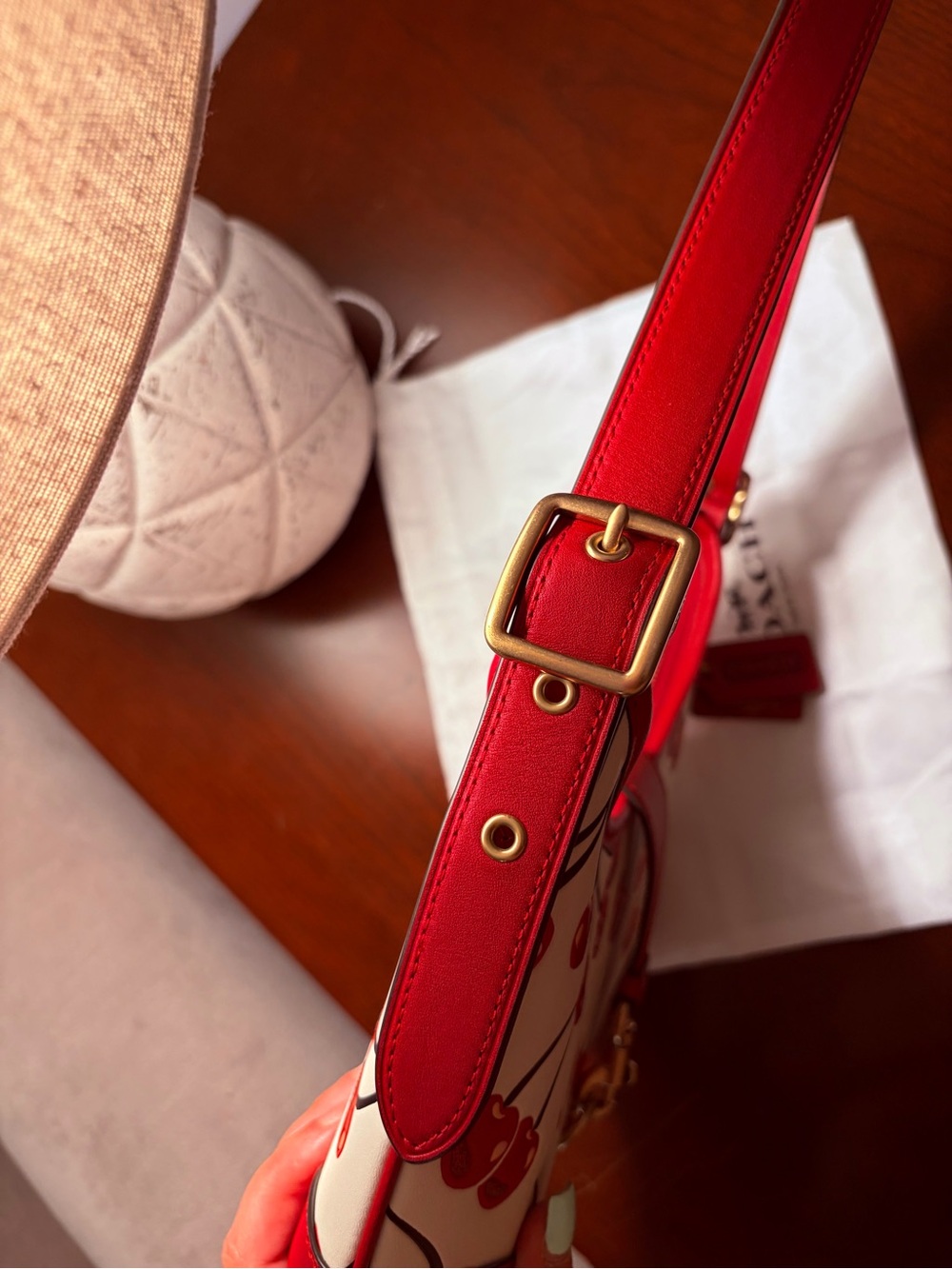 Coach Cherry Print Hampton Hobo Bag - Picture 12 of 14